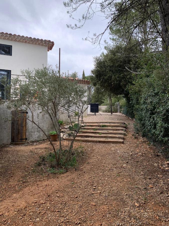 Magnifique Villa Classee 4* Meuble De Tourisme Flassans-sur-Issole Exterior foto